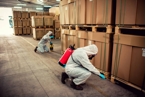 Best Ant Control Services  in Orleans, VT