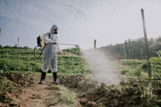 Best Best Pest Control Companies  in Orleans, VT