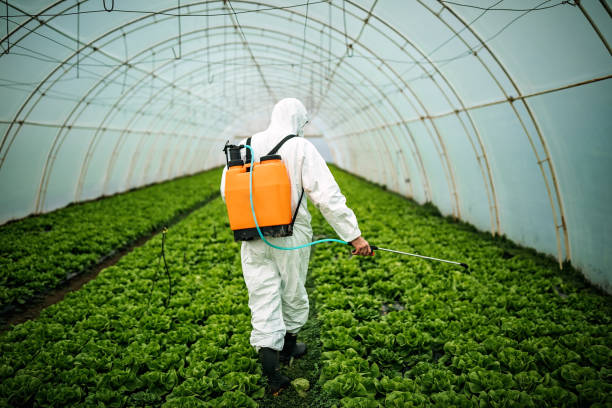 Best Pest Control for Homes  in Orleans, VT